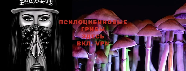 стафф Горнозаводск
