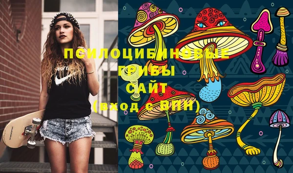 стафф Горнозаводск