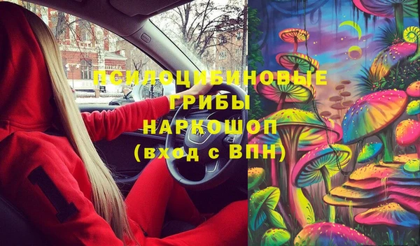 стафф Горнозаводск