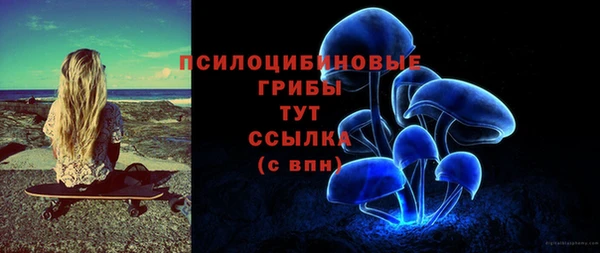 стафф Горнозаводск