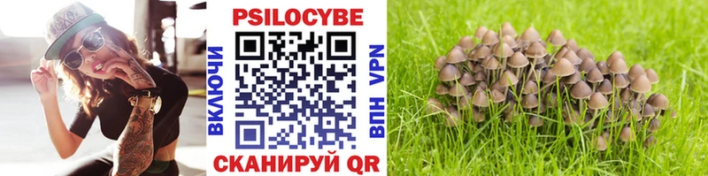 Псилоцибиновые грибы ЛСД Красавино