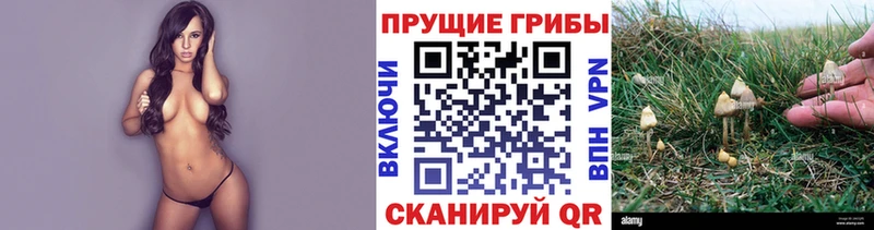 Галлюциногенные грибы Magic Shrooms  Купить  Красавино 
